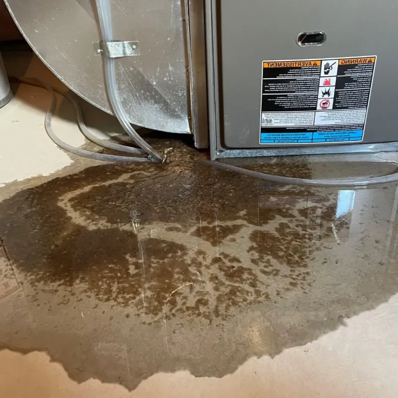 Pipe Burst and Leak Restoration in Big Stone County, MN