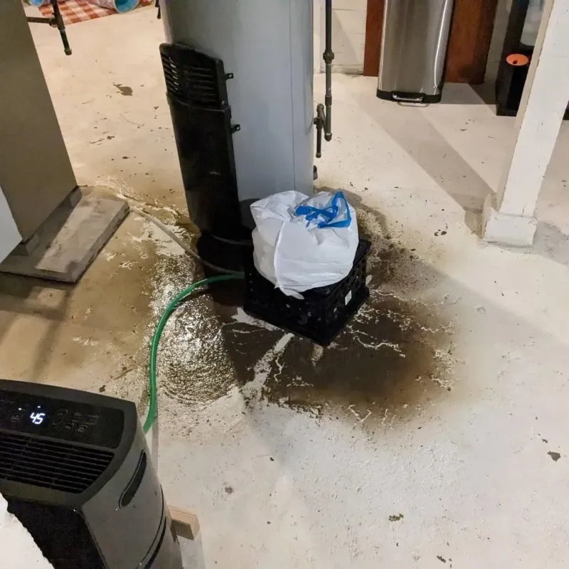 Sewage Backup Cleanup Service in Big Stone County, MN